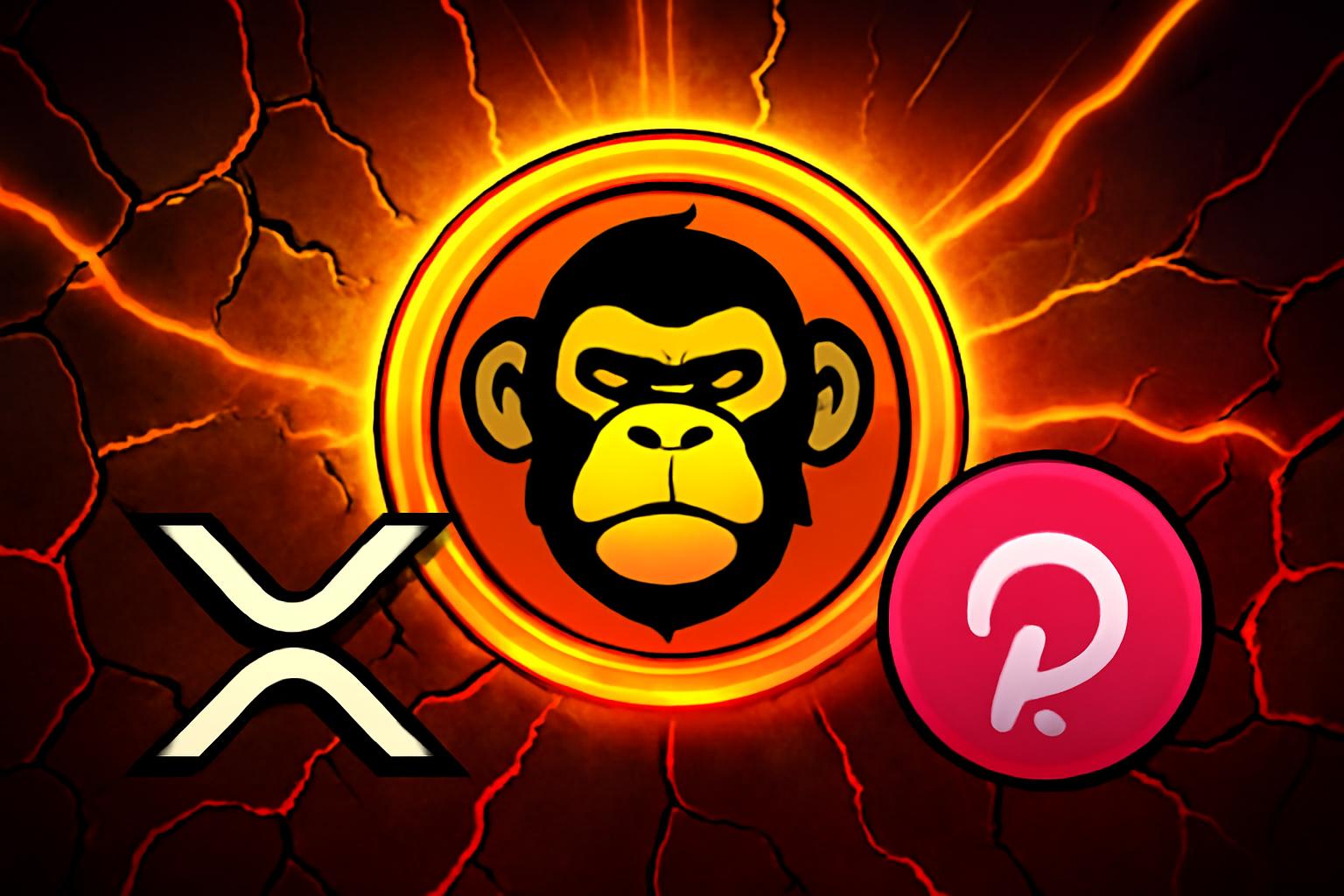 Apeing 白名单：在动荡市场中为早期参与者准备的最佳即将上市加密货币