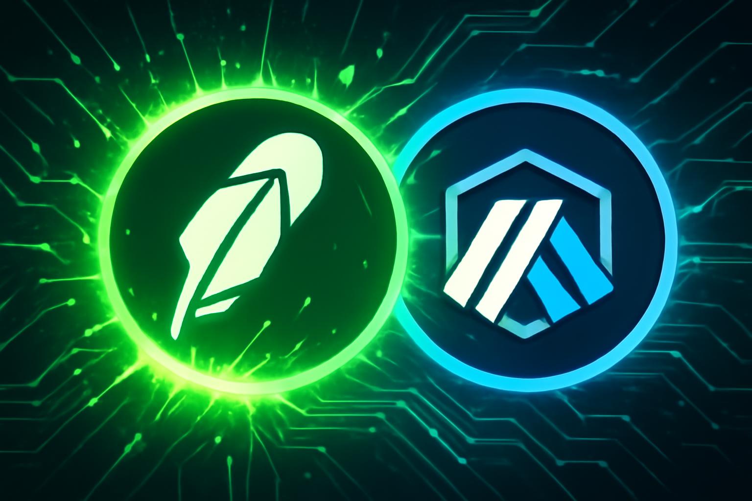 Robinhood Chain 公共测试网 加速 链上资产创新